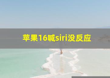 苹果16喊siri没反应