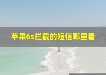 苹果6s拦截的短信哪里看