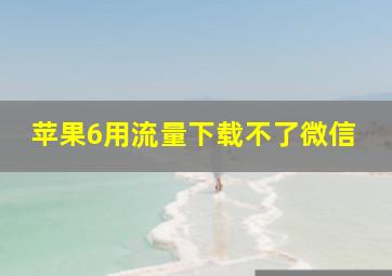 苹果6用流量下载不了微信