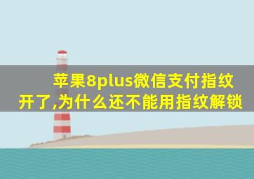 苹果8plus微信支付指纹开了,为什么还不能用指纹解锁