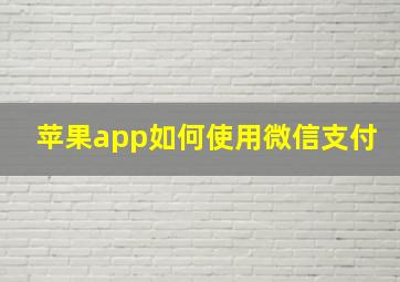 苹果app如何使用微信支付