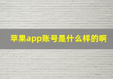 苹果app账号是什么样的啊