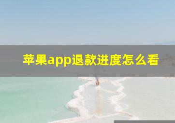 苹果app退款进度怎么看