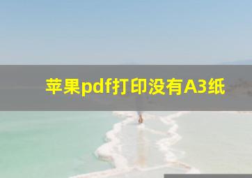 苹果pdf打印没有A3纸