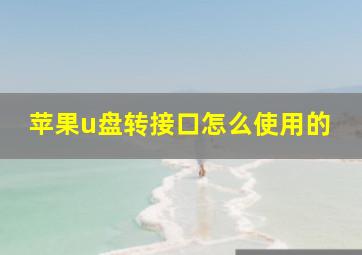 苹果u盘转接口怎么使用的