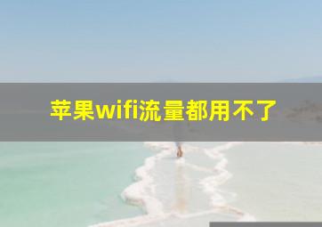 苹果wifi流量都用不了