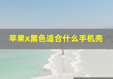 苹果x黑色适合什么手机壳