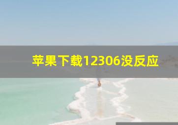 苹果下载12306没反应