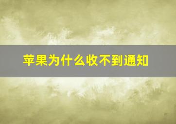 苹果为什么收不到通知