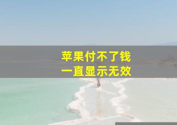 苹果付不了钱一直显示无效