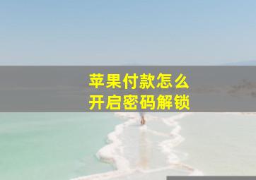 苹果付款怎么开启密码解锁