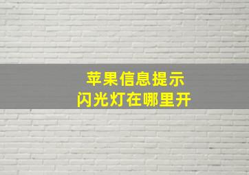 苹果信息提示闪光灯在哪里开