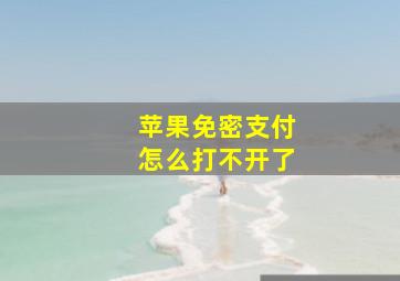 苹果免密支付怎么打不开了