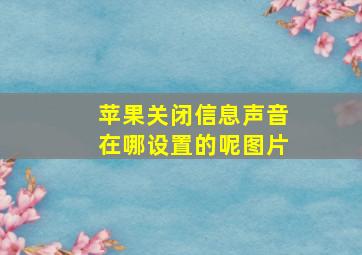 苹果关闭信息声音在哪设置的呢图片