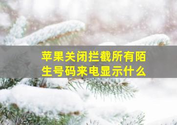 苹果关闭拦截所有陌生号码来电显示什么