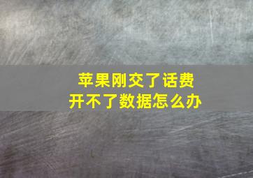 苹果刚交了话费开不了数据怎么办