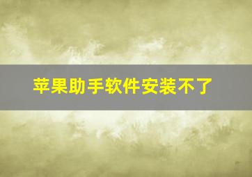 苹果助手软件安装不了