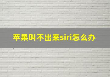 苹果叫不出来siri怎么办