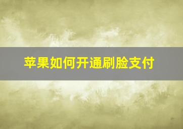 苹果如何开通刷脸支付