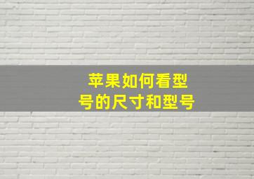 苹果如何看型号的尺寸和型号