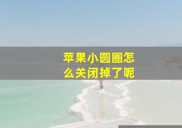 苹果小圆圈怎么关闭掉了呢