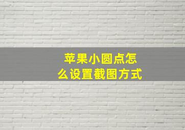 苹果小圆点怎么设置截图方式