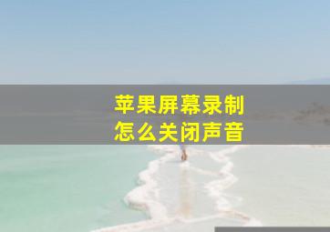 苹果屏幕录制怎么关闭声音