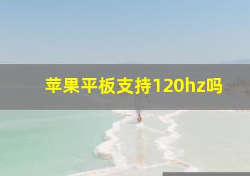 苹果平板支持120hz吗