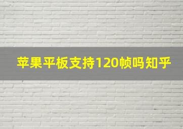 苹果平板支持120帧吗知乎