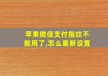 苹果微信支付指纹不能用了,怎么重新设置