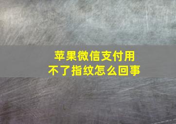 苹果微信支付用不了指纹怎么回事