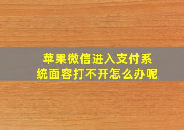 苹果微信进入支付系统面容打不开怎么办呢