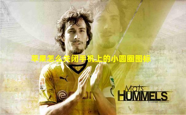 苹果怎么关闭手机上的小圆圈图标