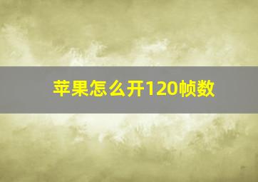 苹果怎么开120帧数