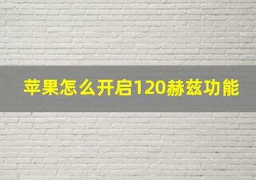 苹果怎么开启120赫兹功能