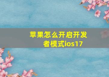 苹果怎么开启开发者模式ios17