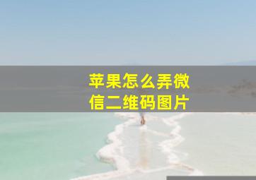 苹果怎么弄微信二维码图片