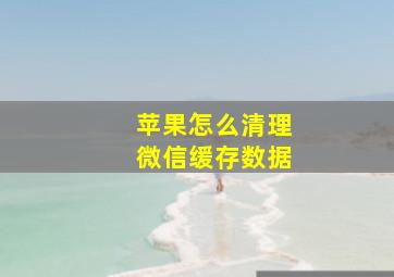 苹果怎么清理微信缓存数据