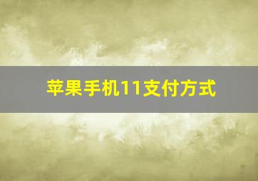 苹果手机11支付方式