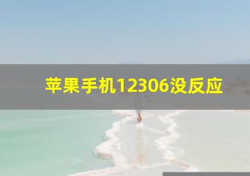 苹果手机12306没反应