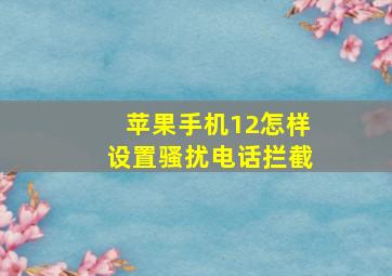 苹果手机12怎样设置骚扰电话拦截