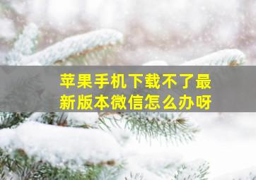 苹果手机下载不了最新版本微信怎么办呀