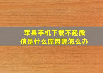 苹果手机下载不起微信是什么原因呢怎么办