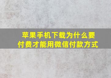 苹果手机下载为什么要付费才能用微信付款方式