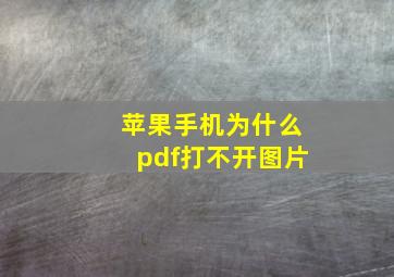 苹果手机为什么pdf打不开图片