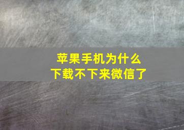 苹果手机为什么下载不下来微信了