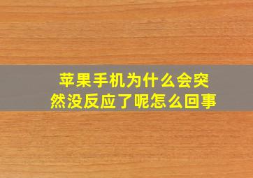 苹果手机为什么会突然没反应了呢怎么回事