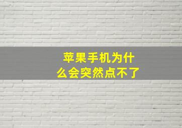 苹果手机为什么会突然点不了