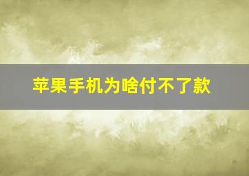 苹果手机为啥付不了款