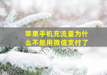 苹果手机充流量为什么不能用微信支付了